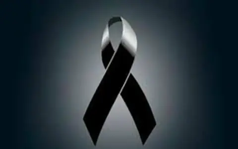 Novedades en el Monotributo: Recategorización y Calendario de Pagos de ANSES