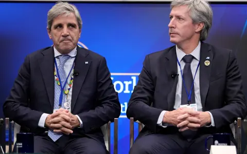El Banco Central y el Ministerio de Economía: Estrategias en el Mercado Cambiario