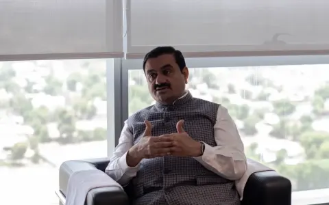 Inversión de Gautam Adani en el Sector Naviero Argentino: Un Proyecto de US$ 70 Millones
