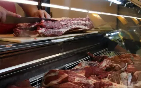 Proyecciones de Inflación para Junio: Un Análisis de la Desaceleración Económica en Argentina
