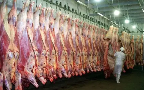 Incremento Histórico en las Exportaciones de Carne Vacuna Argentina en 2026