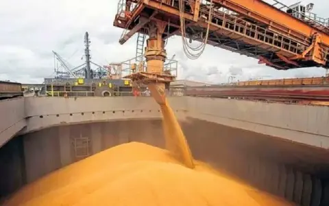 Récord Histórico en Exportaciones Agrícolas Argentinas