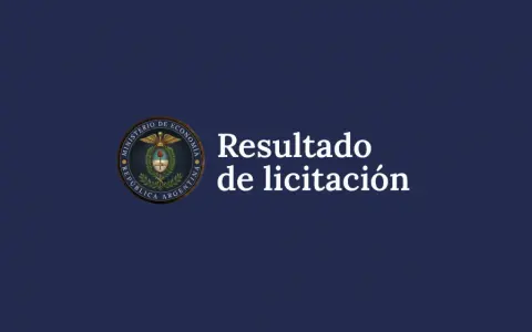 Resultados de la licitación de LELINK D31G6