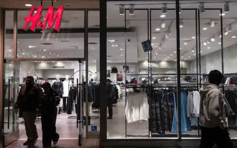 Nuevas Marcas Internacionales en los Shoppings Argentinos: Aperturas y Proyectos Futuros