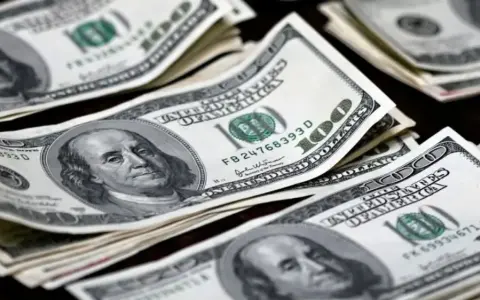 Proyecciones sobre la Dolarización en el Contexto Económico Argentino