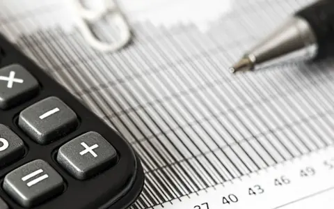 Análisis del Sistema Tributario Argentino: Concentración y Diversidad de Impuestos
