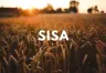 Modificaciones en el régimen del SISA y requisitos para el reintegro de retenciones