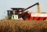 Análisis de la Comercialización de Soja en Argentina: Impacto de la Baja de Retenciones Anunciada para 2027