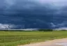 Impacto del Fenómeno El Niño en la Producción Agrícola: Recomendaciones de Especialistas