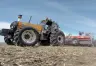 Récord en la Siembra de Trigo: Avances y Desafíos en el Sector Agrícola Argentino