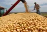 Avances en el Control de Semillas: Implicancias para el Sector Agrícola