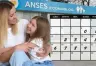 Cronograma de pagos de Anses al SUAF en octubre de 2026
