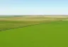 Estrategias Fiscales para la Adquisición de Campos en Argentina