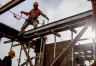 Impacto de la Pérdida de Empleo en Sectores Clave de la Economía Argentina