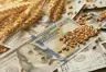 Liquidación de Divisas del Agro en Junio: Análisis de la Situación Actual
