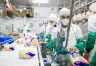 Simplificación en la Importación de Maquinaria Usada: Nuevas Normativas del Gobierno Argentino