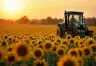 Análisis del Récord en Exportaciones Argentinas: Destinos y Productos Clave