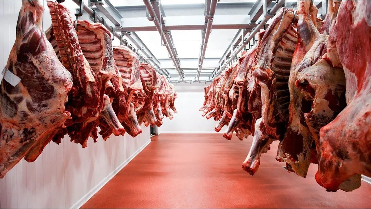 Récord Histórico en el Precio de Exportación de la Carne en el Primer Trimestre de 2026