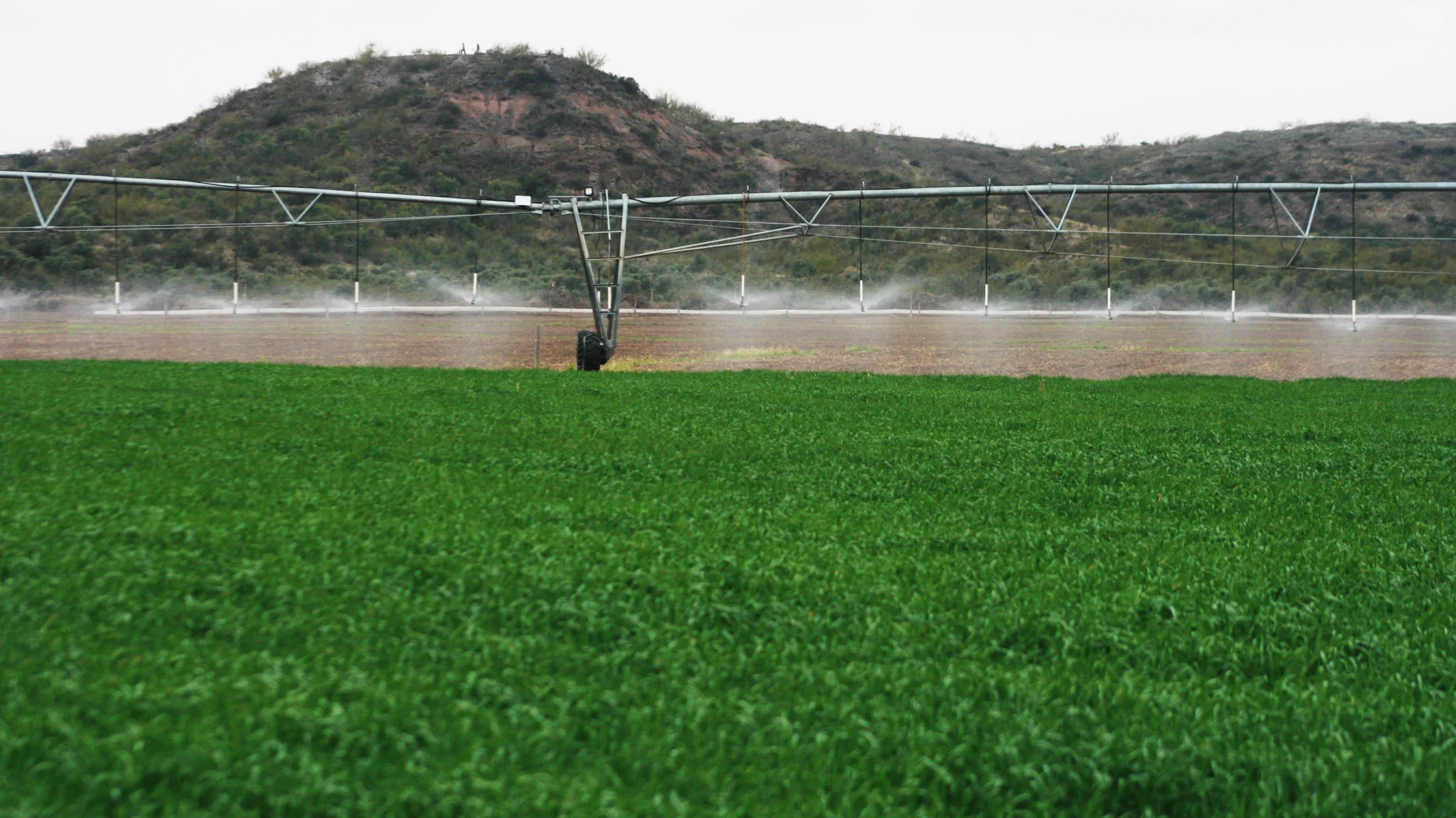 Río Negro Implementa Alivio Fiscal para el Riego Agrícola: Impacto en la Productividad