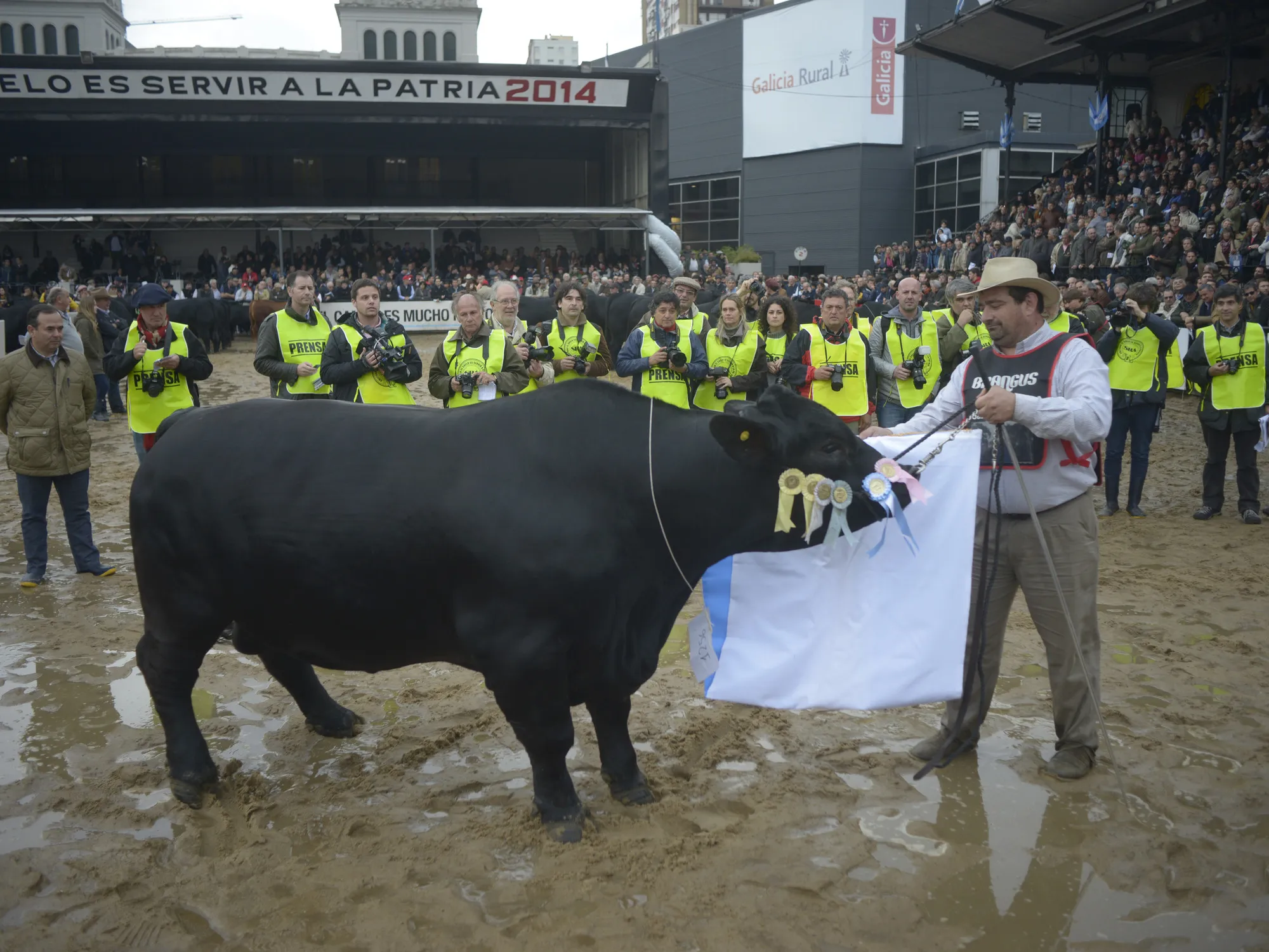 Cabañeros Exigen Auditoría en la Sociedad Rural por Crisis en Registros Genealógicos