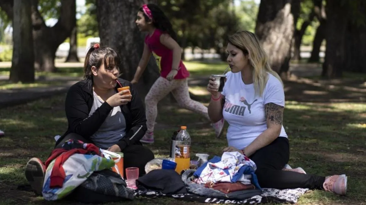 Análisis del Consumo de Yerba Mate en Argentina: Febrero con Números Negativos