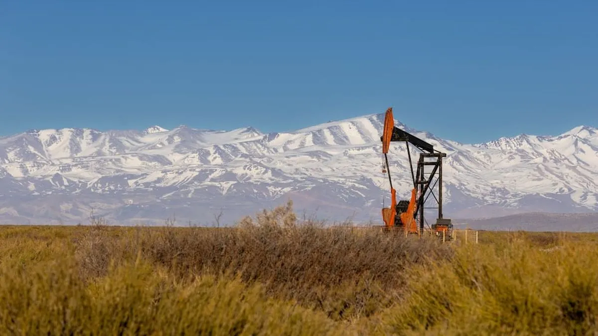 Análisis del Desempeño Económico de Mendoza en 2025: Comparativa con Argentina