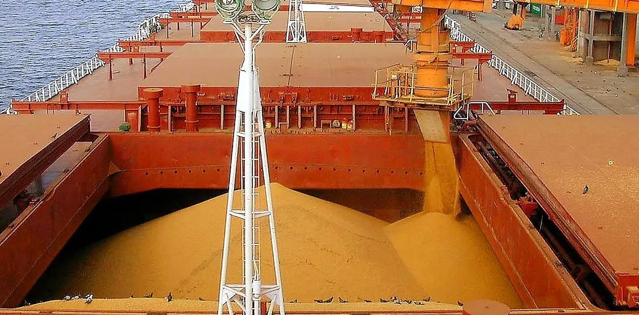 Récord de Exportaciones de Maíz Argentino: Apertura de Nuevos Mercados