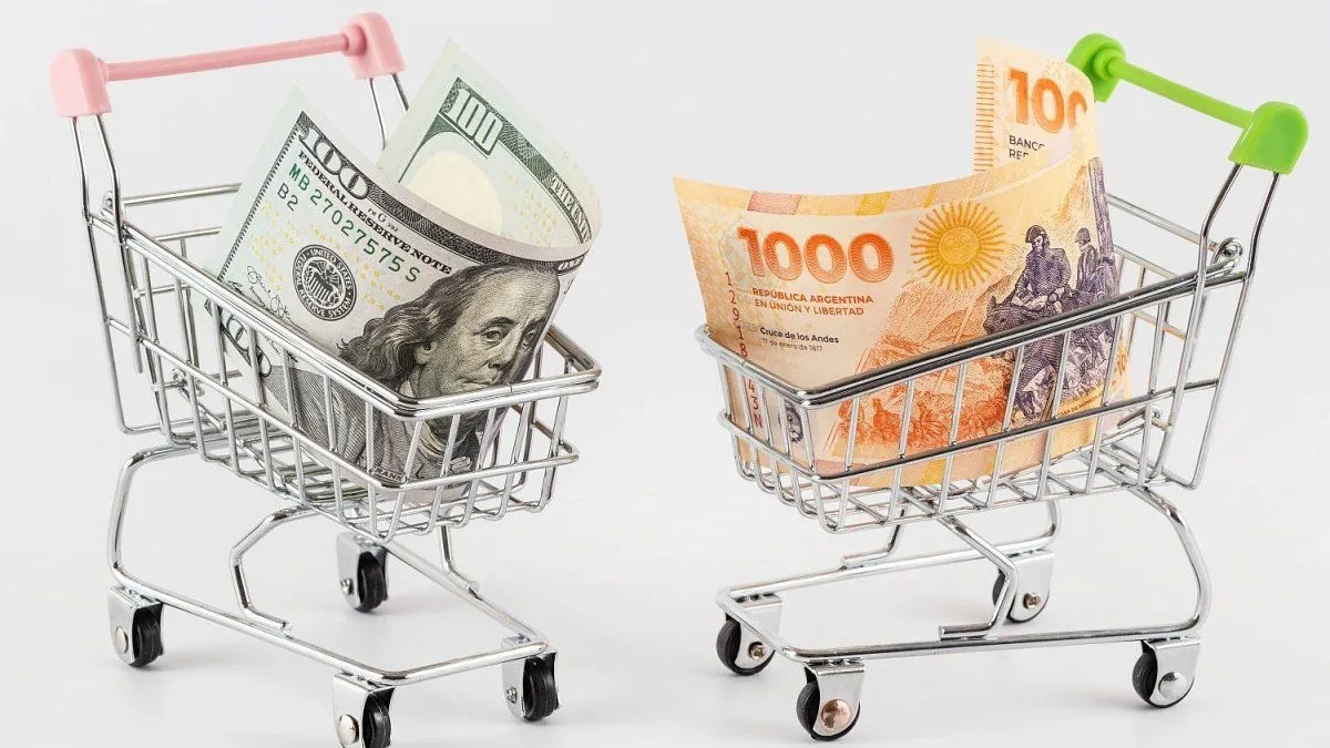 Análisis de la Anomalía Económica en Argentina: Dólar Atrasado y Caída de Salarios