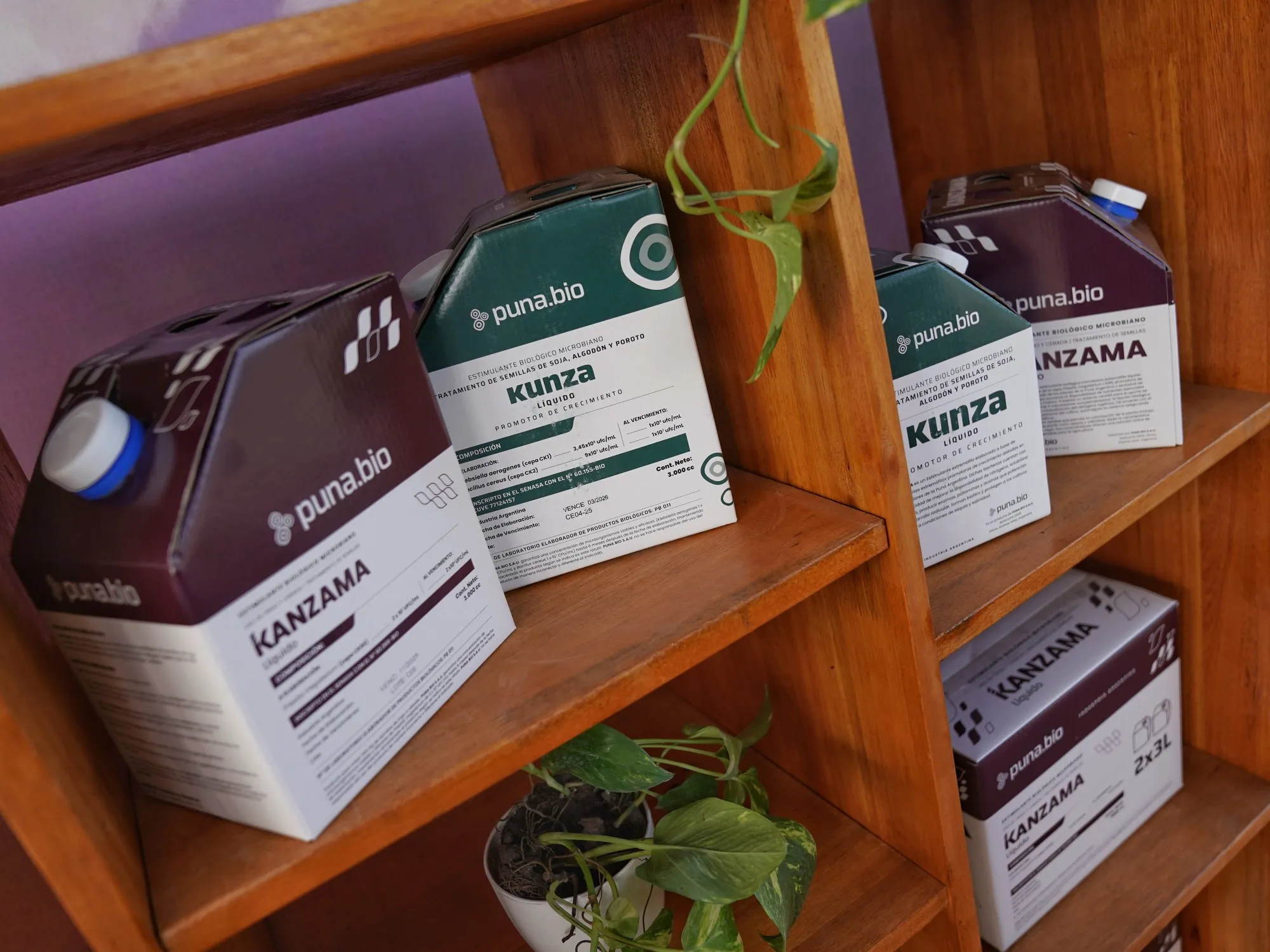 Puna Bio: La Innovación Argentina que Revoluciona el Agro en 2026