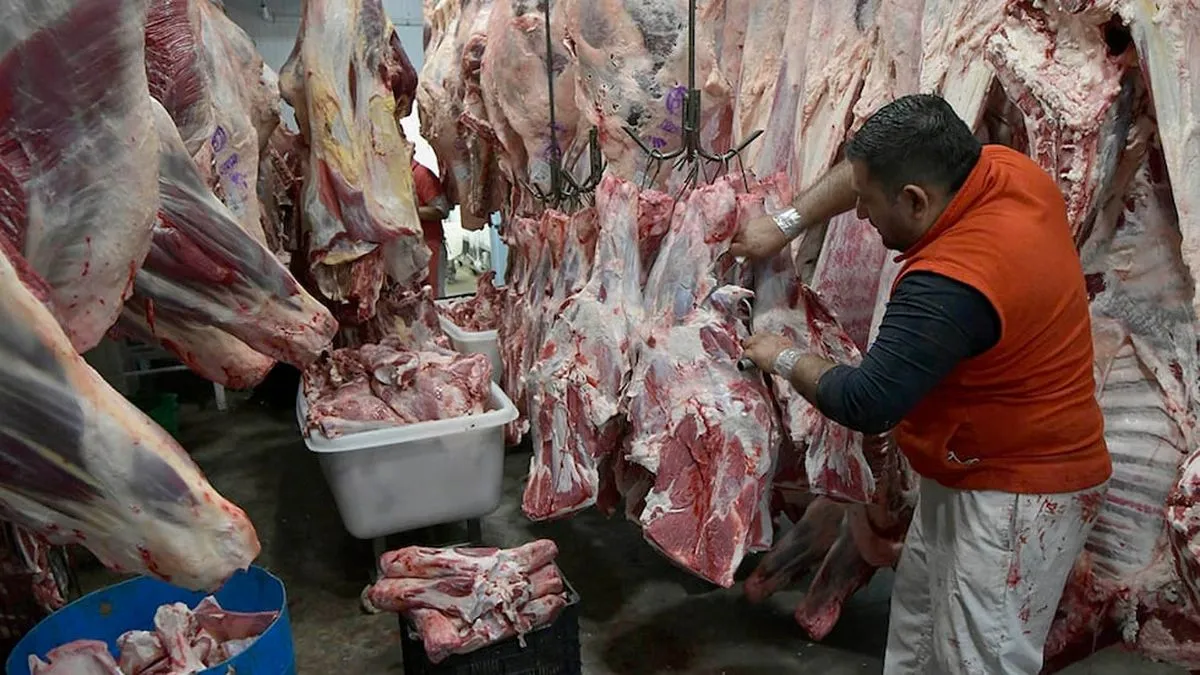 Aumento del Precio de la Carne en Marzo: Implicaciones para la Inflación en Argentina