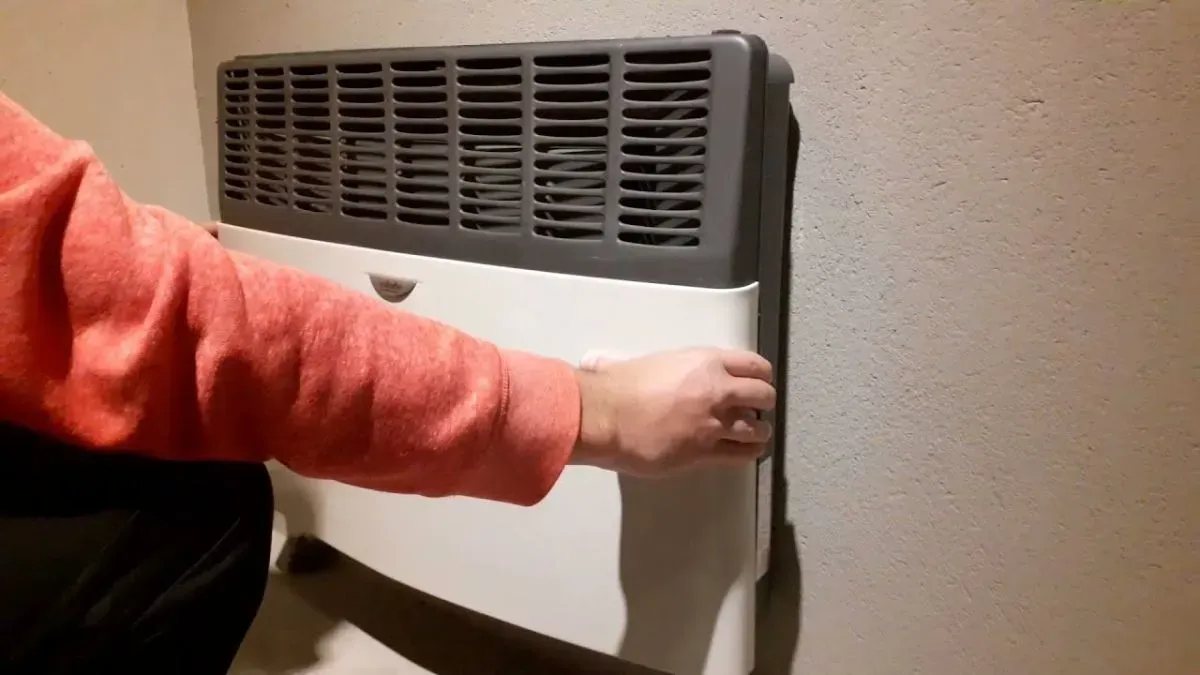 Análisis del Mercado de Estufas en Argentina: Ventas y Tendencias Actuales