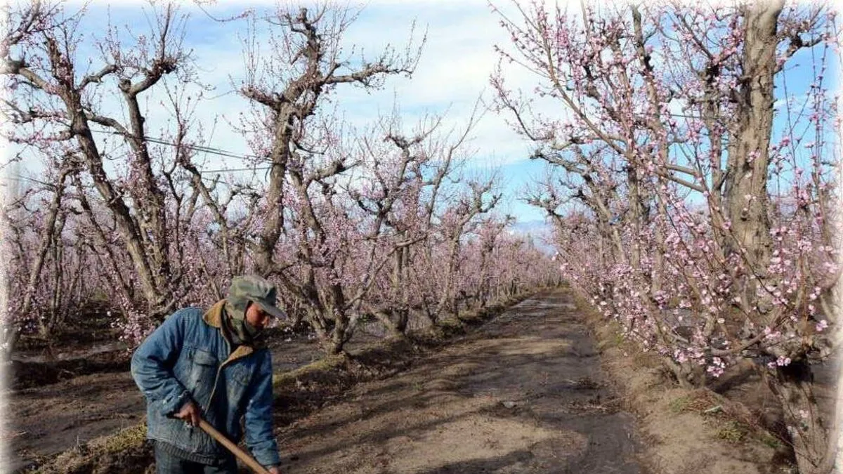 Reducción del IVA en Energía Eléctrica para Regantes en Mendoza