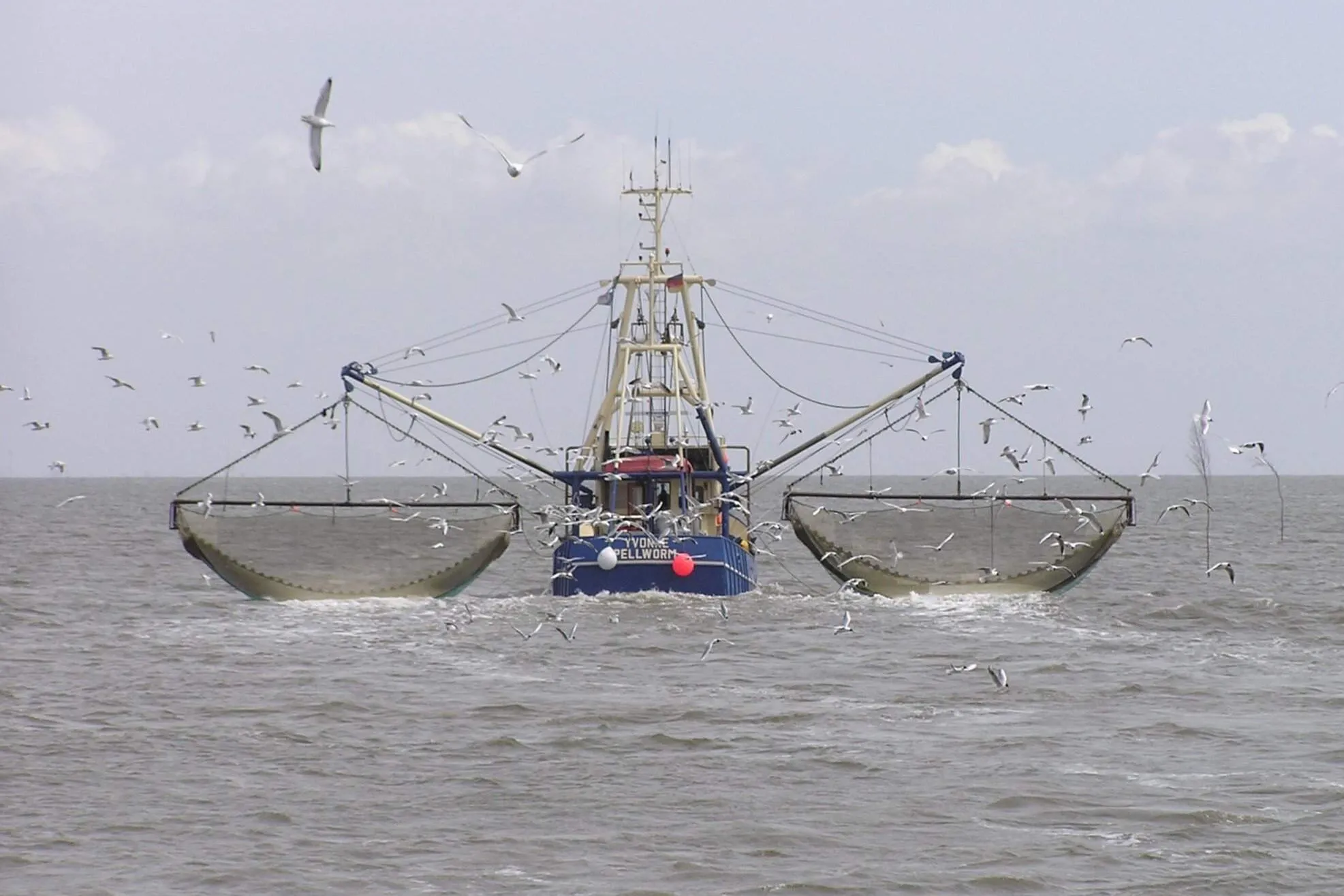 Análisis de la Volatilidad en la Producción Pesquera Argentina