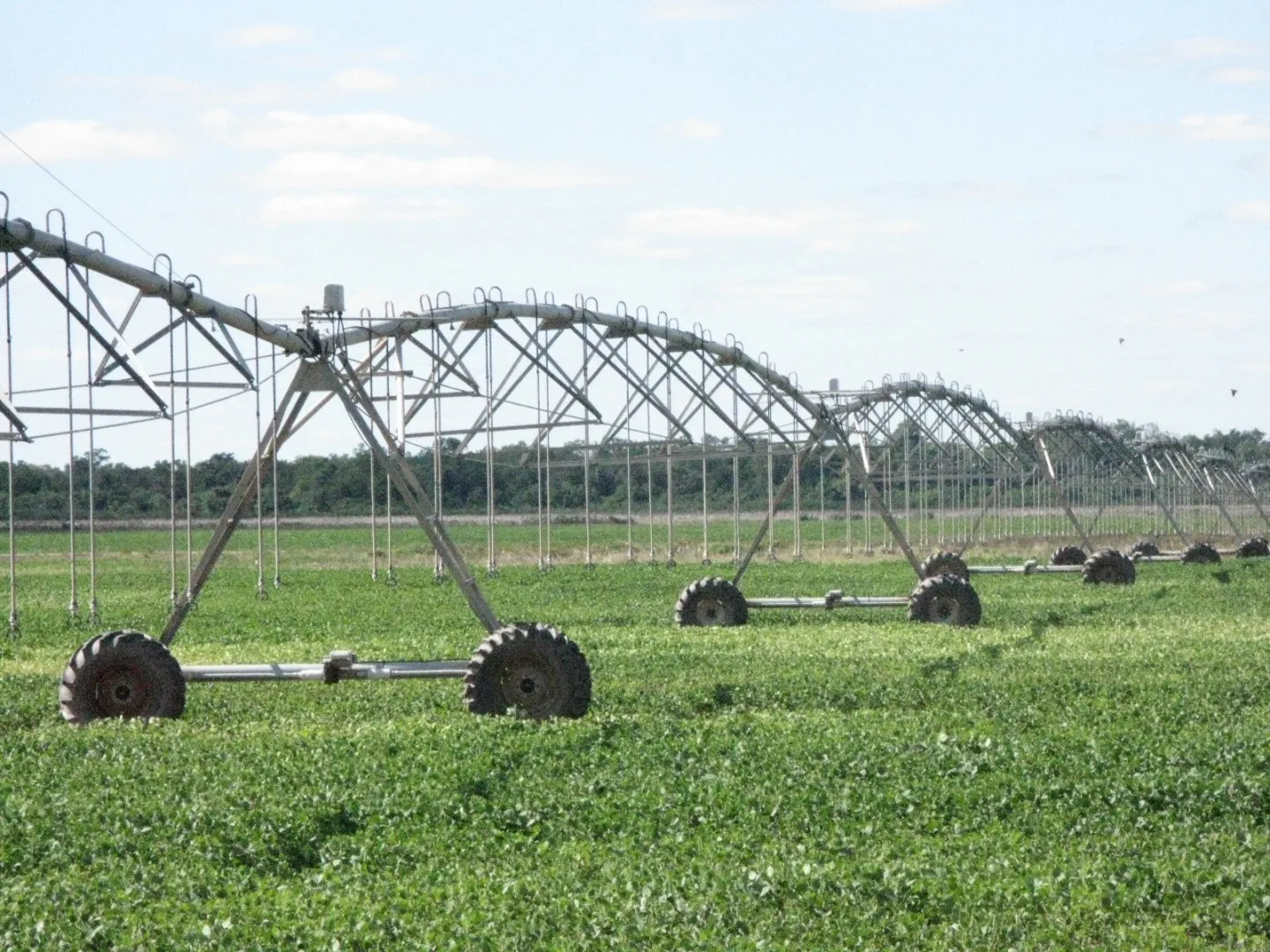 Iniciativas del Gobierno Nacional para Impulsar el Riego Agropecuario en Argentina