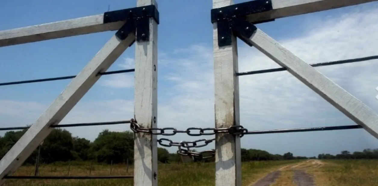 Impacto de la Incertidumbre Política en el Mercado de Campos en Argentina