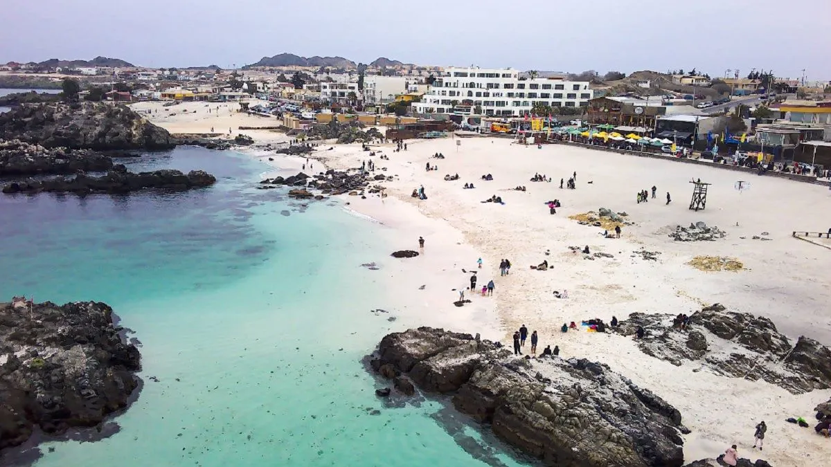 Análisis de la Salida de Dólares por Viajes en Argentina: Tendencias Recientes