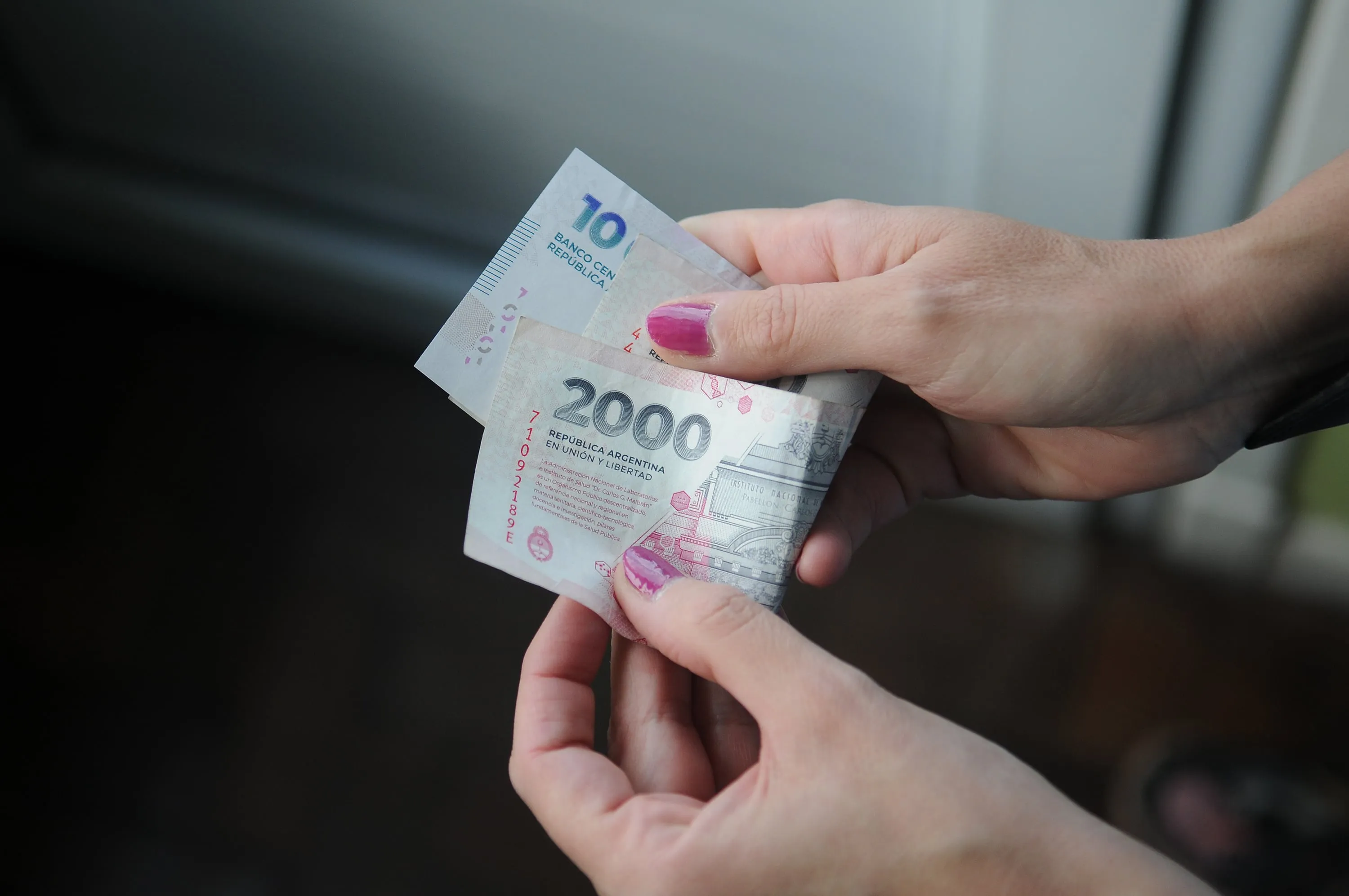 Análisis de la Realidad Económica Argentina bajo la Administración de Javier Milei