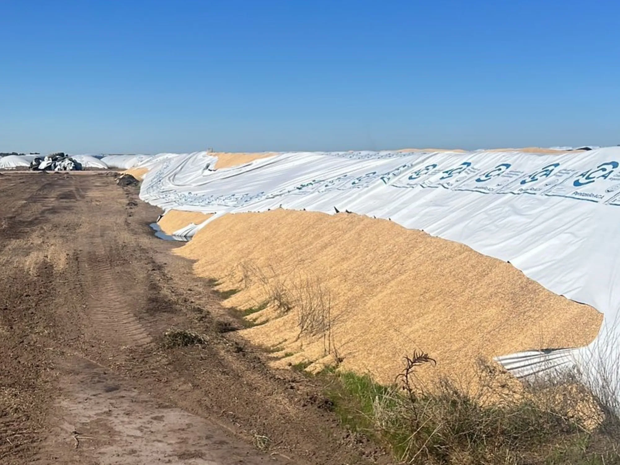Vandalismo Rural en Bahía Blanca: Pérdidas Millonarias para Productores Agropecuarios