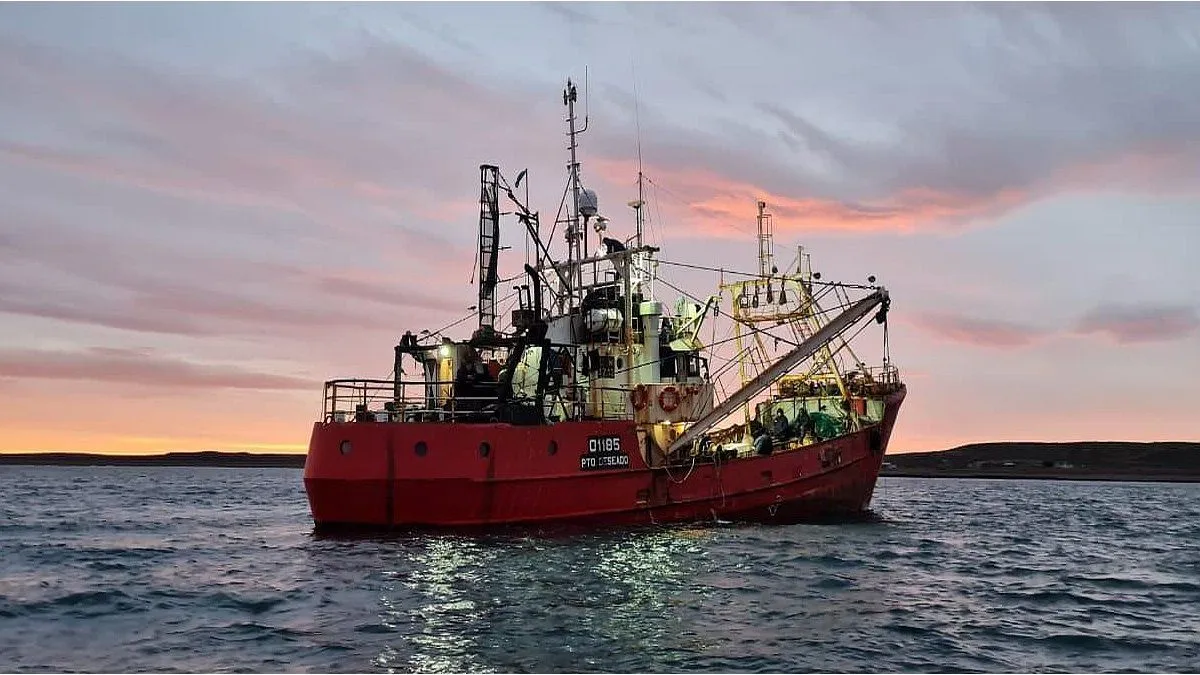 Crisis en el Sector Pesquero: Aumento de Costos y Pérdidas Significativas