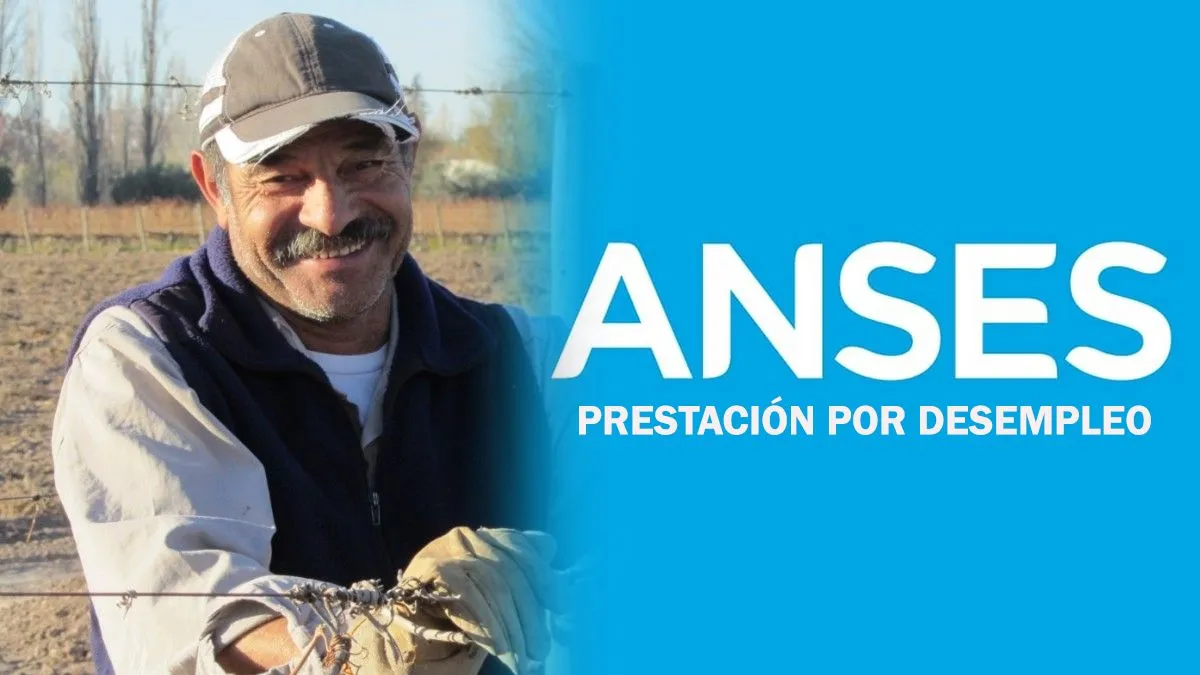 Trámite del Fondo de Desempleo de ANSES: Guía Completa para 2026