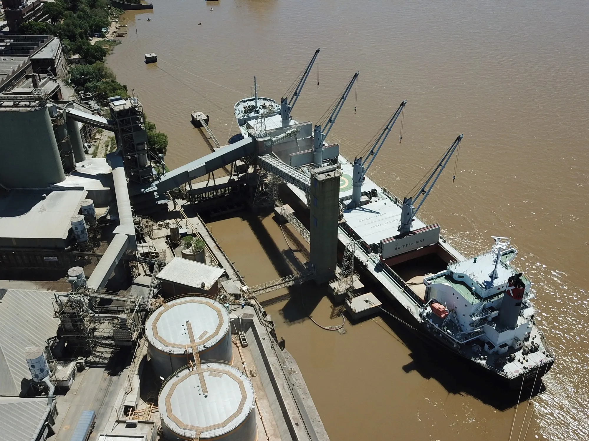 Proyecciones de Ingreso de Divisas del Sector Agrícola para 2026