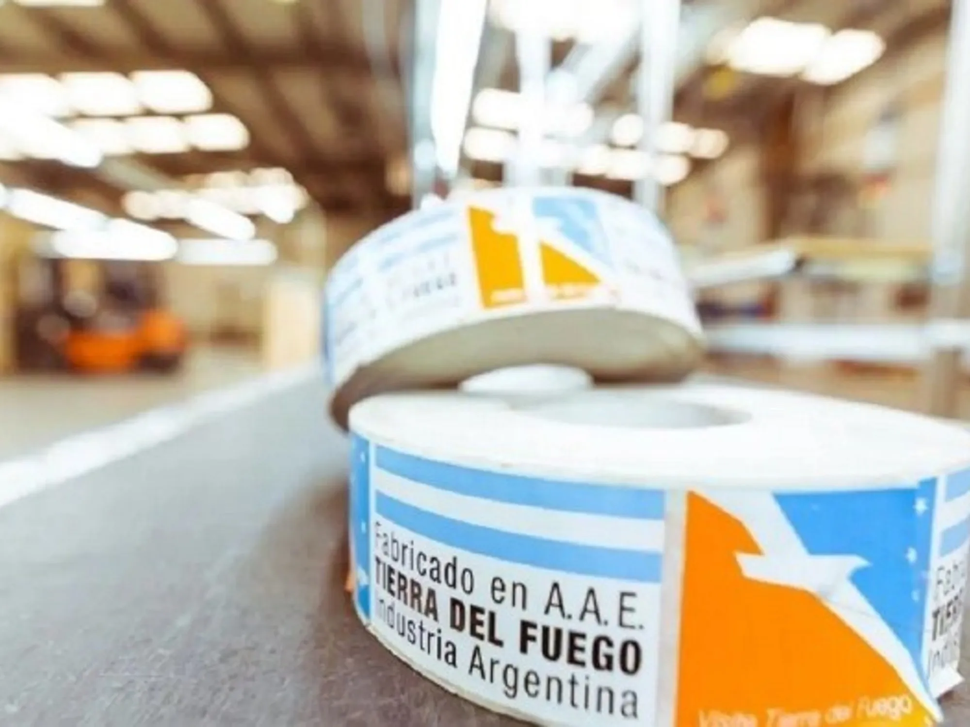 Crítica del Banco Mundial al Régimen Industrial de Tierra del Fuego: Un Análisis Profundo