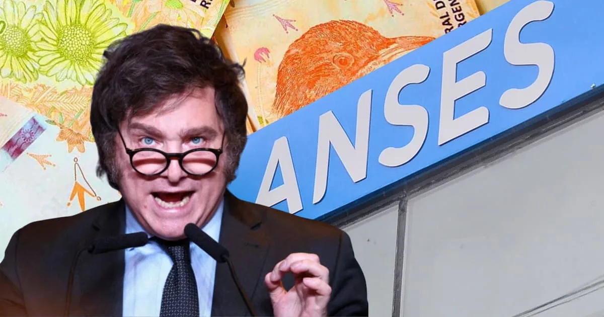 ANSES y su Estrategia en el Mercado Financiero: Implicaciones para el Sector Contable