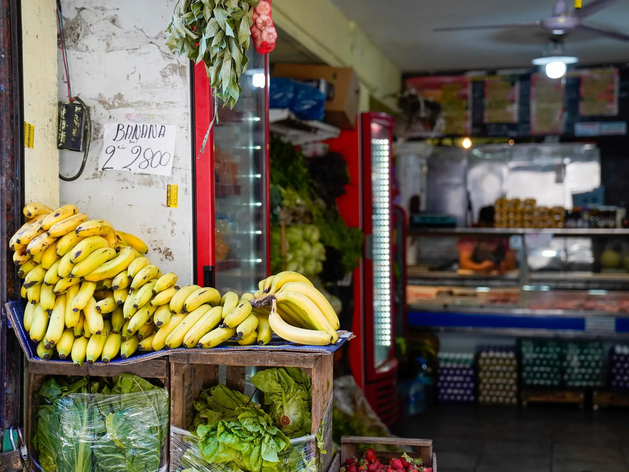 Aumento de la Canasta Básica en Argentina: Datos Clave de Marzo 2026