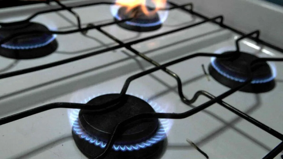 Aumento del Cargo Fijo del Gas y Reducción del Valor del Metro Cúbico en Mendoza