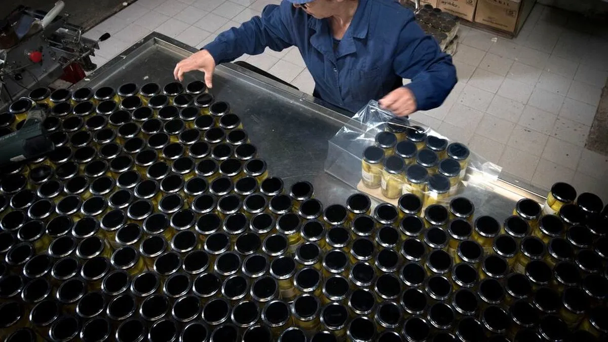 Impacto del Abastecimiento de Gas en la Industria Argentina: Advertencias de la UIA