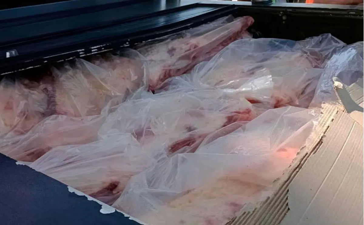 Incautación de Carne en Río Negro: Irregularidades y Consecuencias Legales