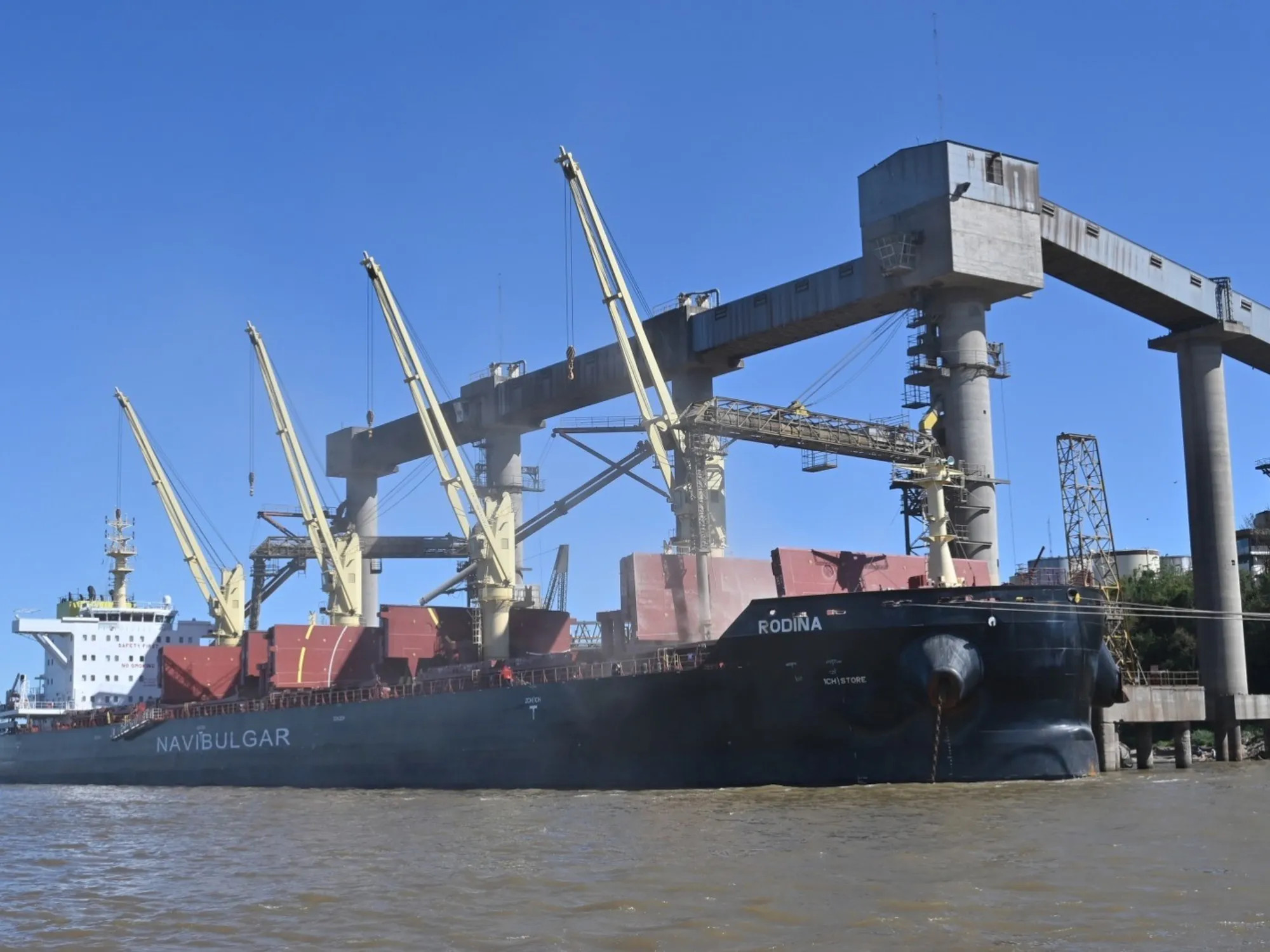 Incremento del 57% en la Liquidación de Divisas del Agro en Marzo: Análisis de la Situación Actual