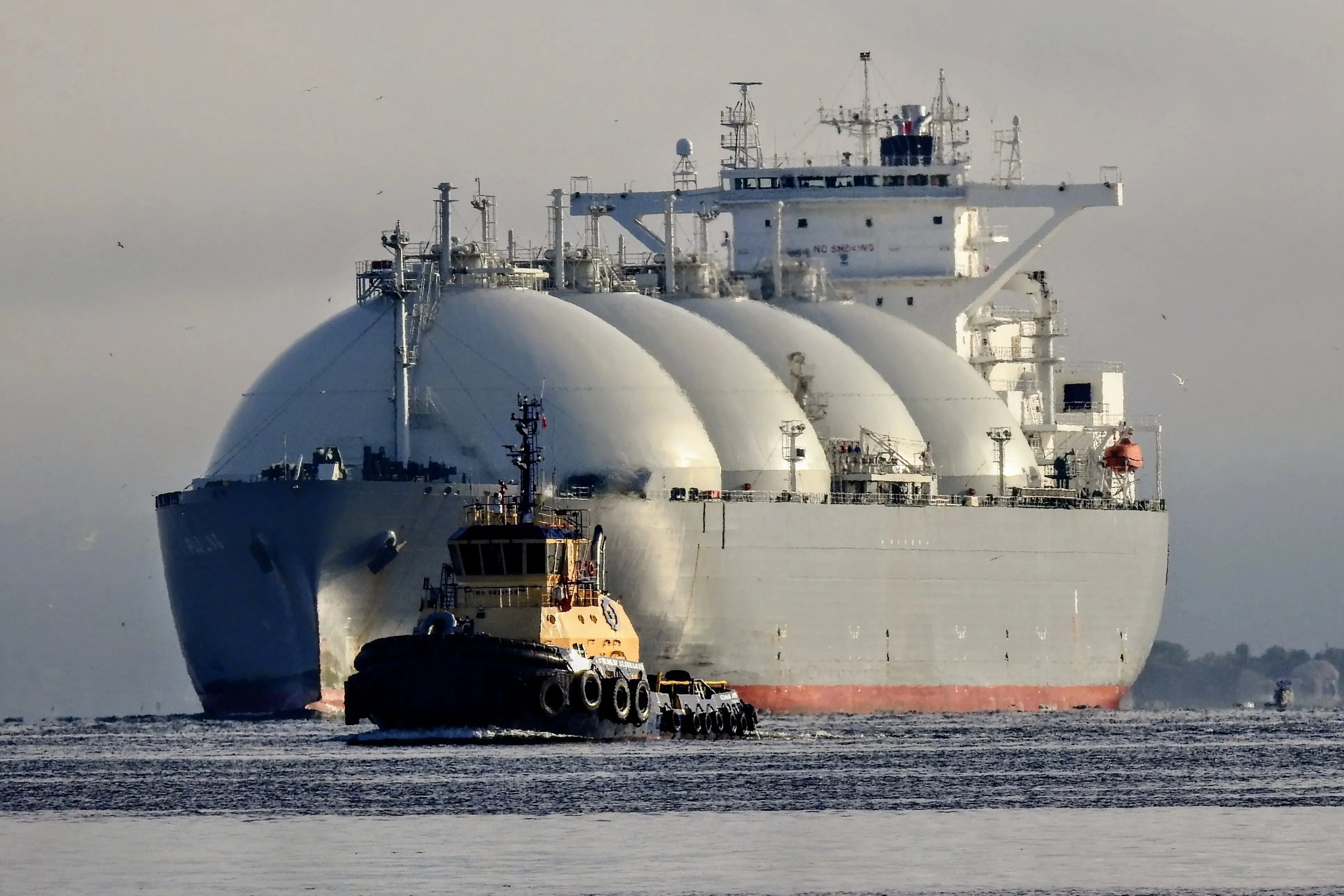 Propuestas para la Importación y Comercialización de Gas Natural Licuado en Argentina