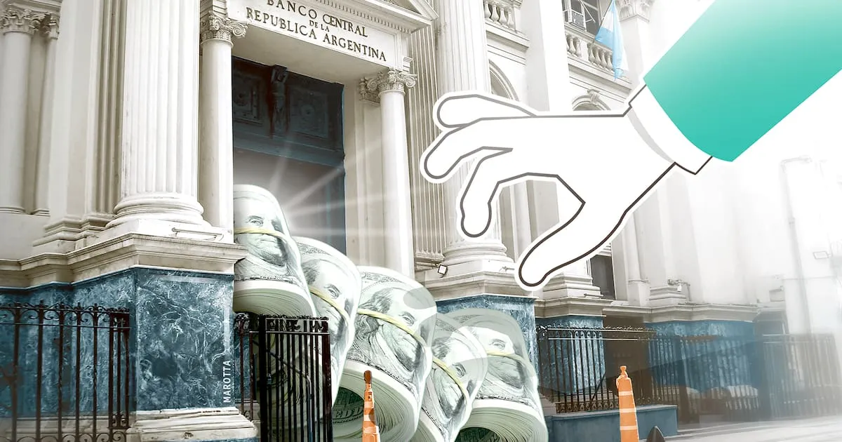 El BCRA Avanza en su Objetivo Anual de Compra de Dólares